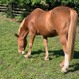 Meet your Posher, Gary